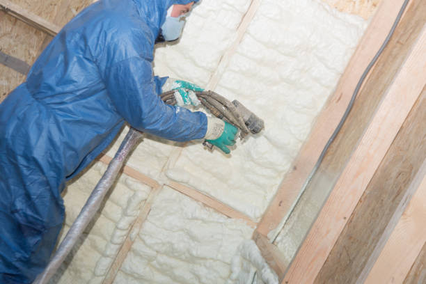 Best Insulation Air Sealing  in Abaster, AL